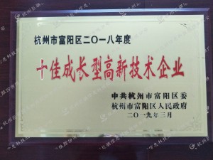 十佳成長(zhǎng)型高新企業(yè)