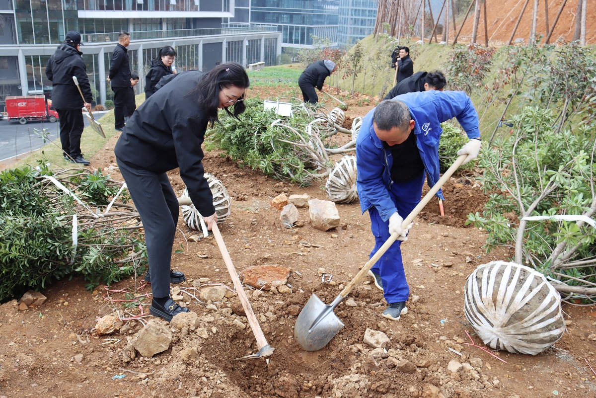 1741745303109175.jpg IMG_0202.jpg