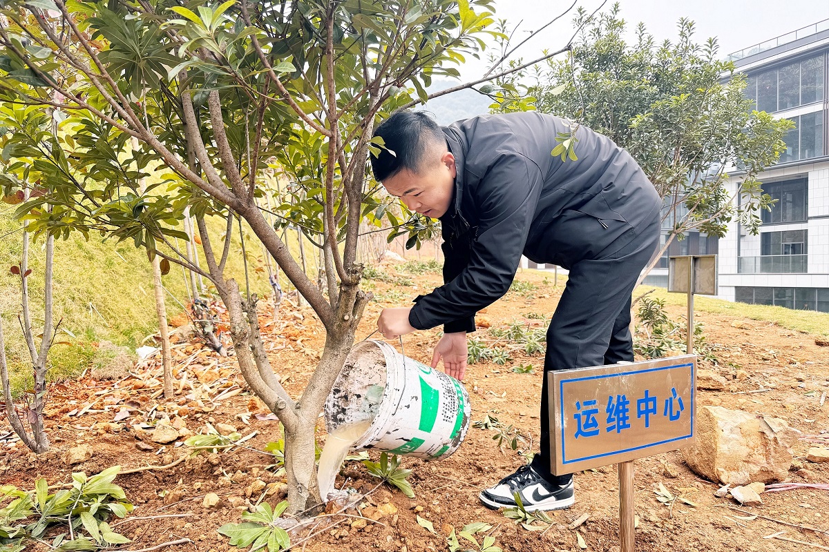 1741745369241967.jpg IMG_02我12.jpg